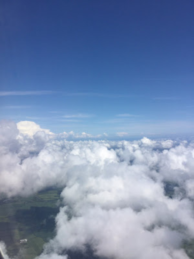 Meet your Posher, Skye